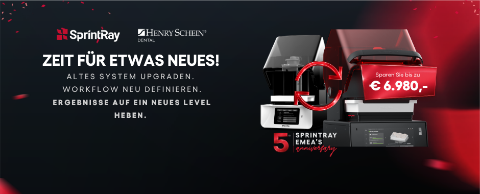 birthday promo _HSDE_banner